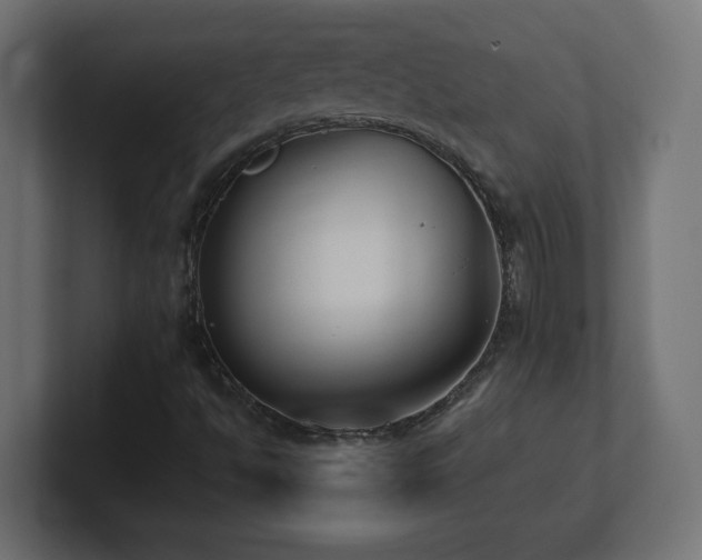 X0000100941494200806241416