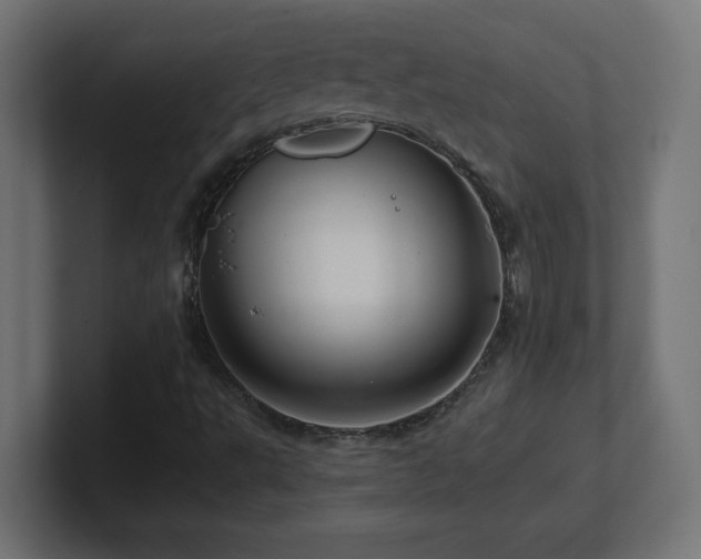 X0000100941495200806241416