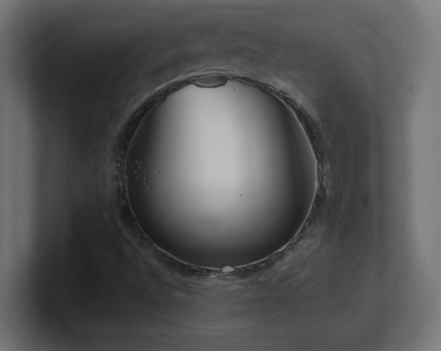 X0000100941496200806241416