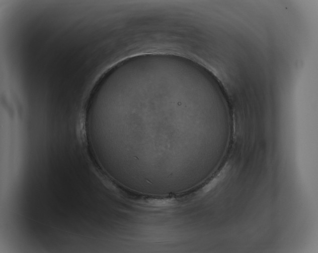 X0000100941498200806241416