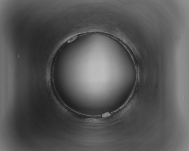 X0000100941500200806241416