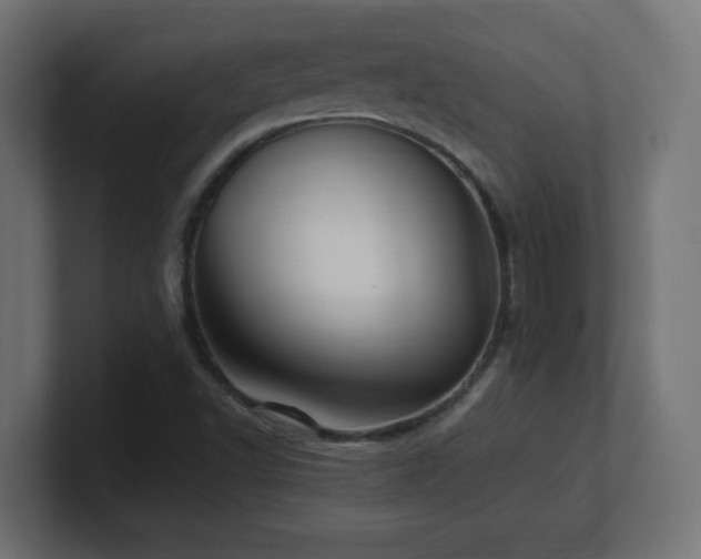 X0000100941502200806241416