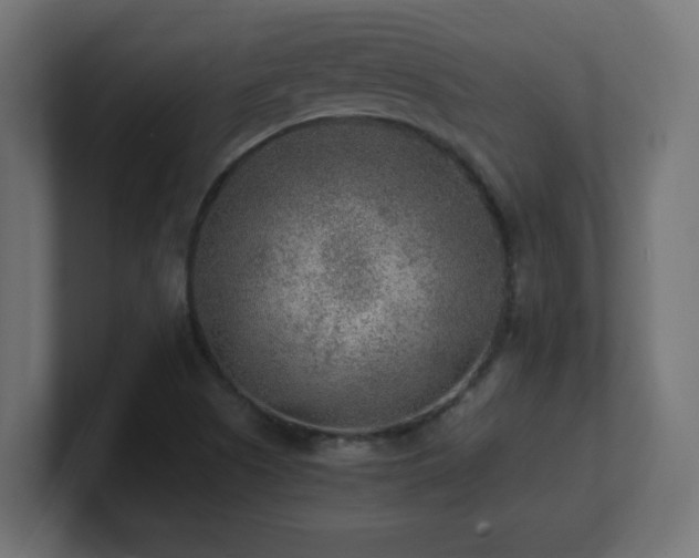 X0000100941505200806241416