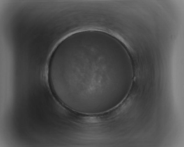 X0000100941508200806241416