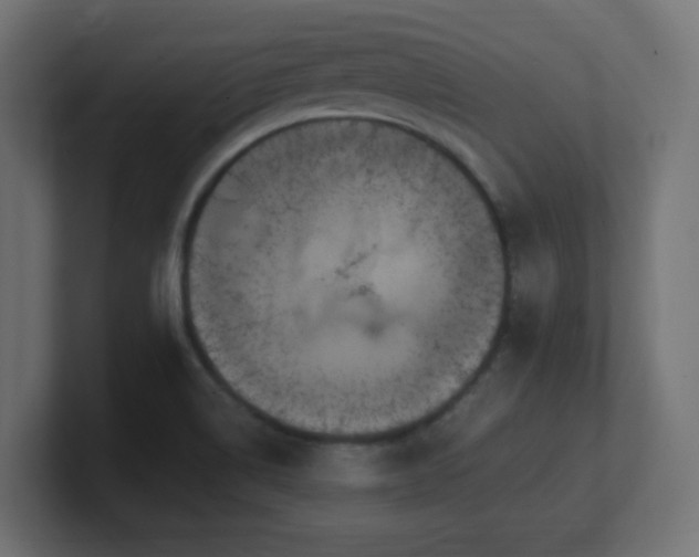 X0000100941514200806241416