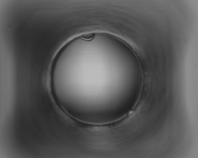 X0000100941518200806241416