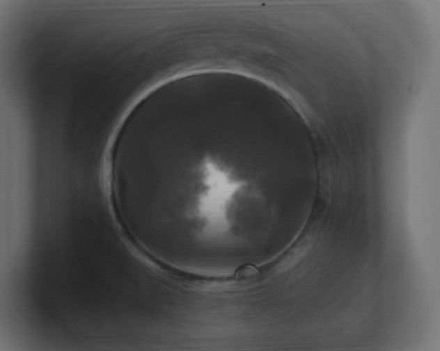 X0000100941519200806241416