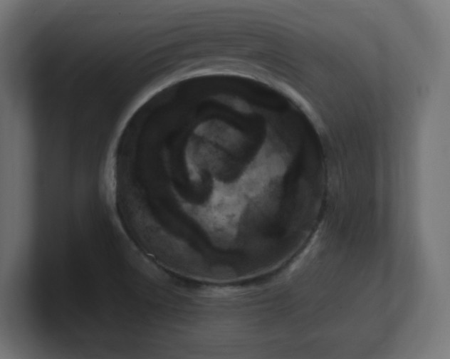 X0000100941522200806241416