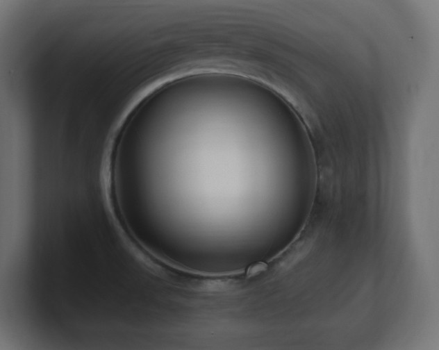 X0000100941523200806241416