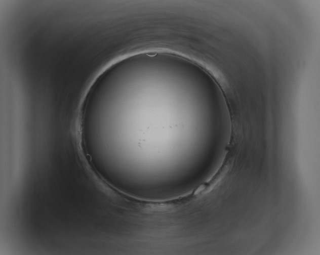 X0000100941526200806241416