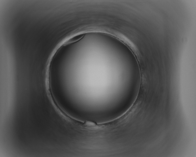 X0000100941528200806241416