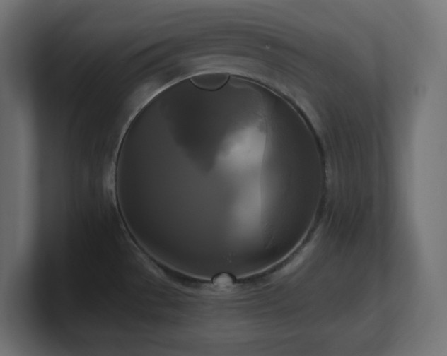 X0000100941529200806241416