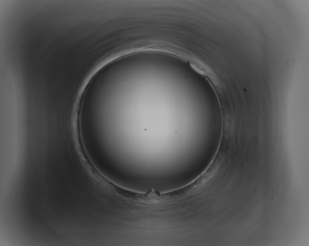 X0000100941530200806241416