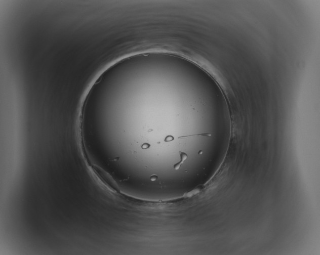 X0000100941532200806241416