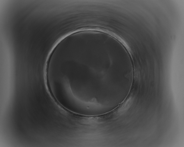 X0000100941533200806241416