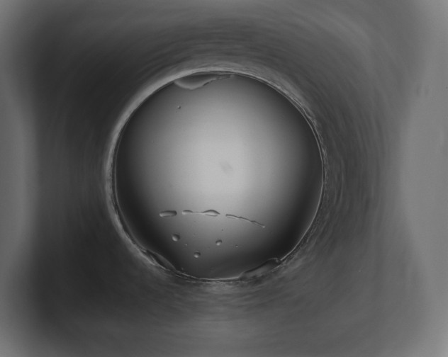 X0000100941536200806241416