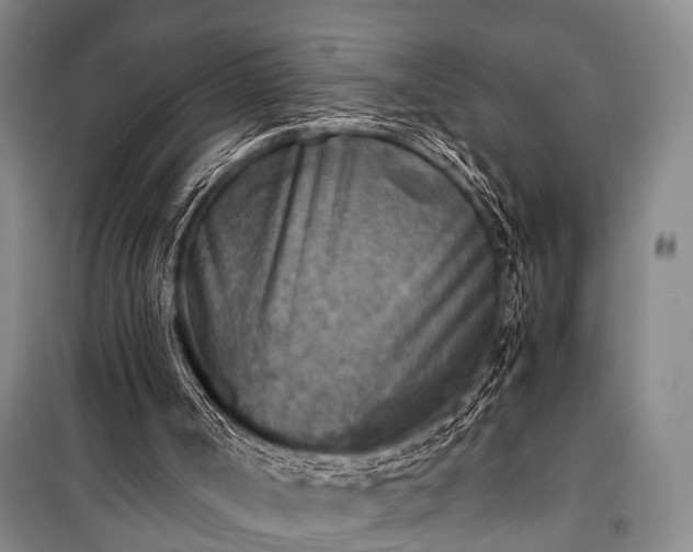 X0000100940002200807011256