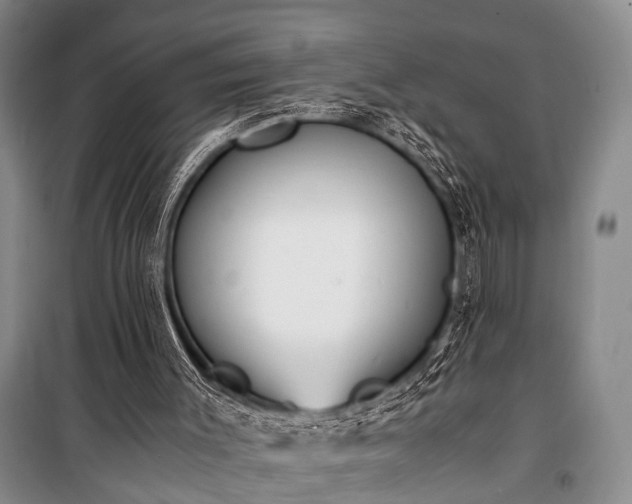 X0000100940003200807011256