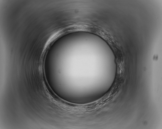 X0000100940004200807011256