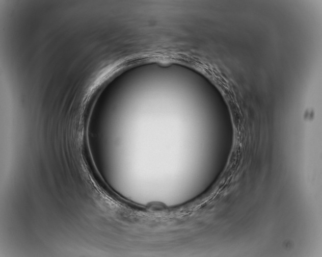 X0000100940005200807011256