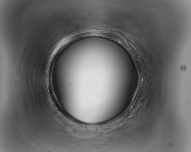 X0000100940006200807011256