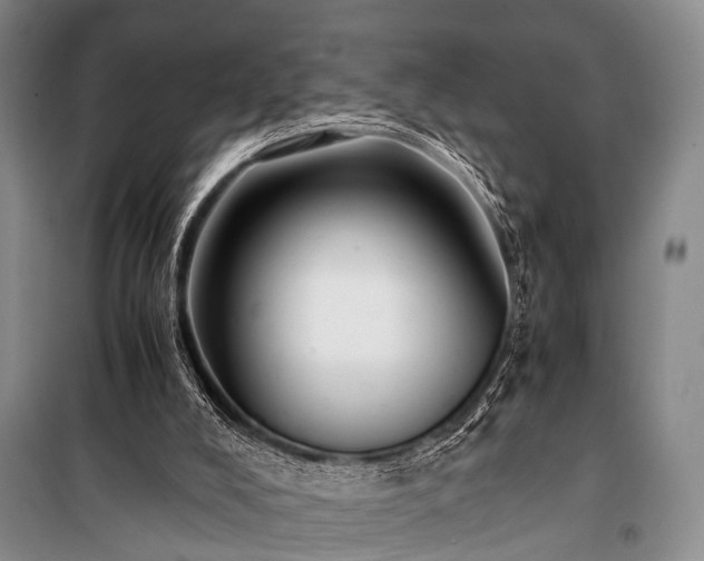 X0000100940008200807011256