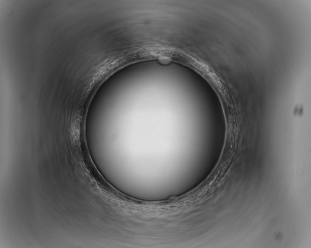 X0000100940010200807011256