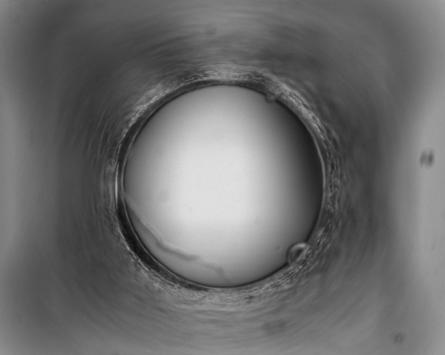 X0000100940011200807011256