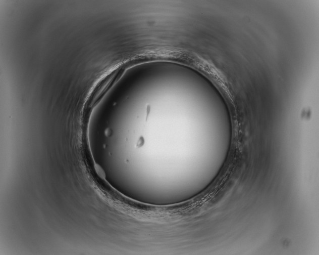 X0000100940012200807011256