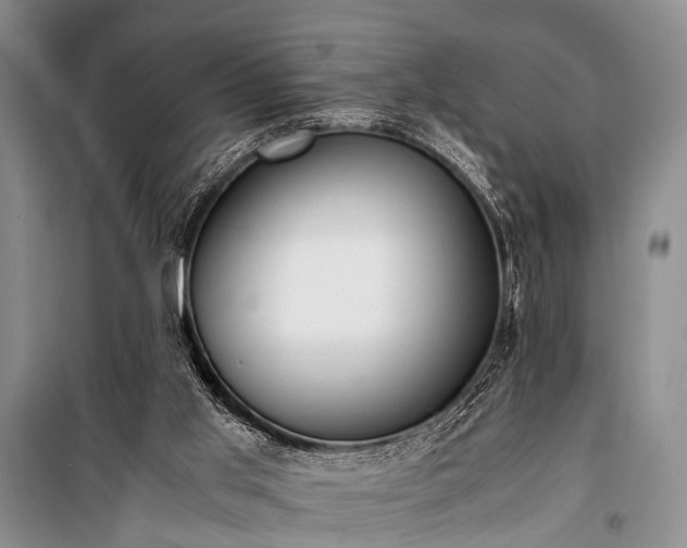 X0000100940013200807011256