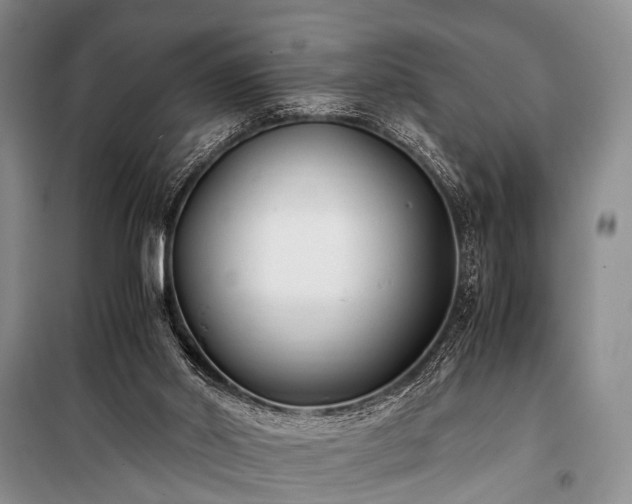 X0000100940014200807011256