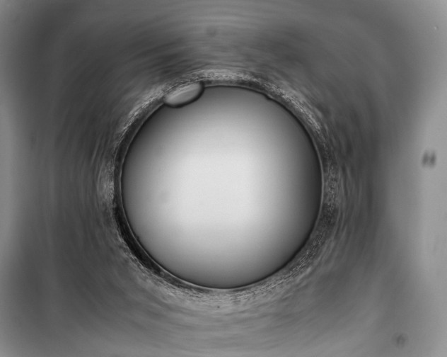 X0000100940015200807011256