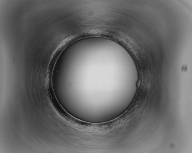 X0000100940016200807011256