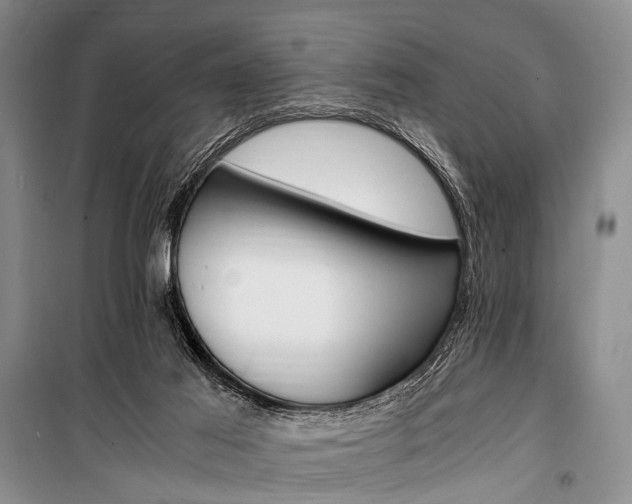 X0000100940021200807011256