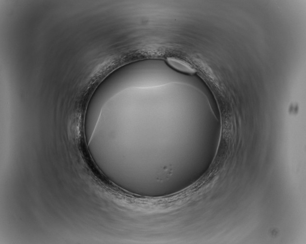 X0000100940023200807011256