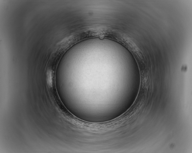 X0000100940026200807011256