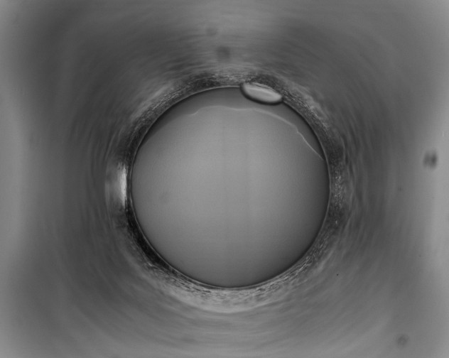 X0000100940027200807011256