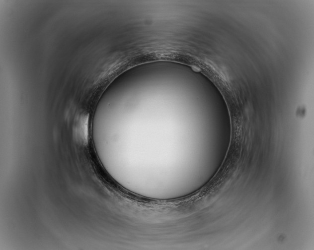 X0000100940028200807011256