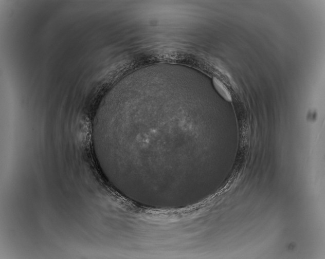 X0000100940029200807011255