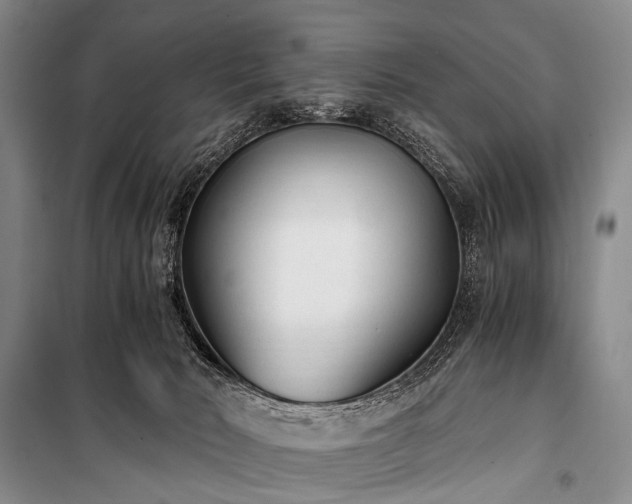 X0000100940030200807011255