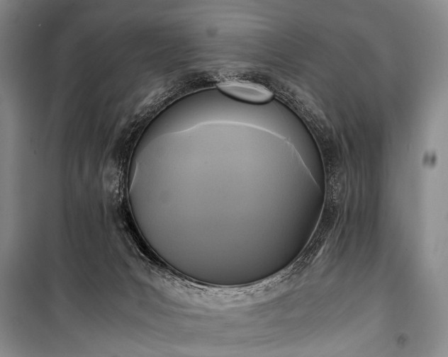 X0000100940031200807011255