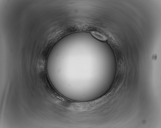 X0000100940033200807011255