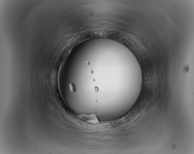 X0000100940036200807011255