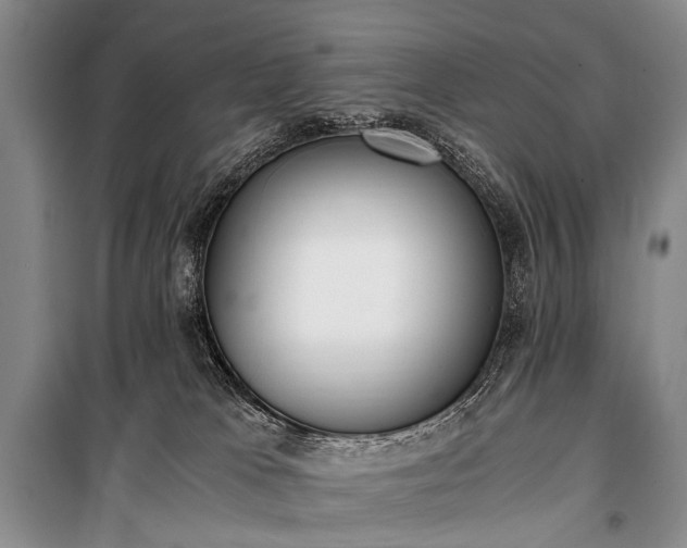 X0000100940037200807011255