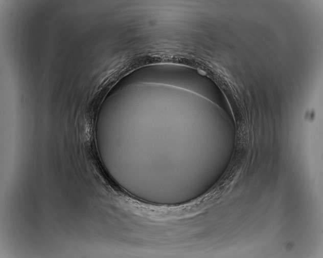 X0000100940039200807011255