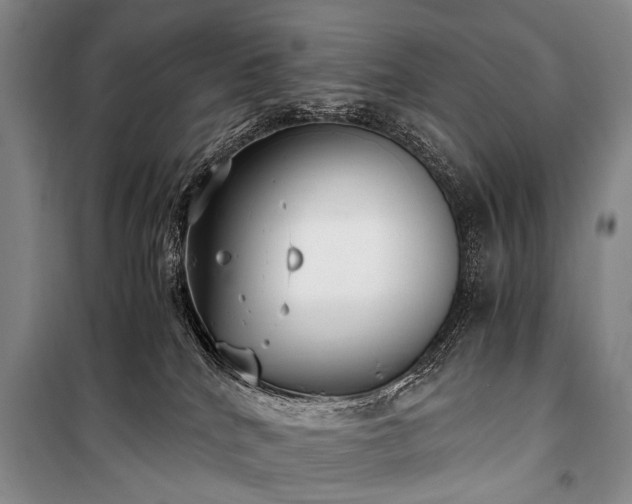 X0000100940040200807011255