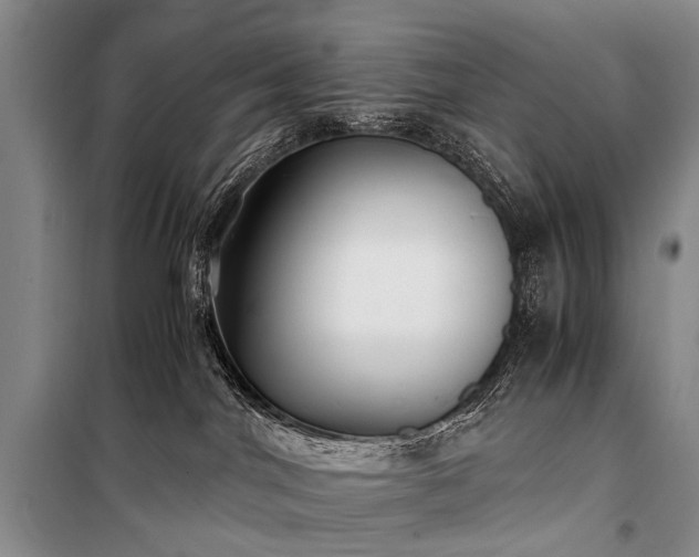 X0000100940044200807011255