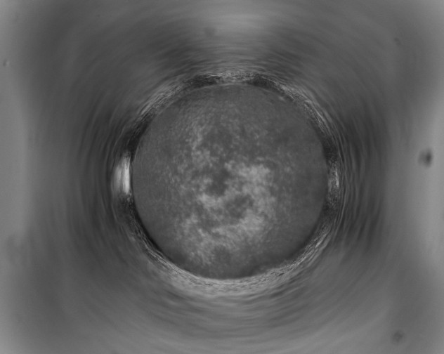 X0000100940046200807011255