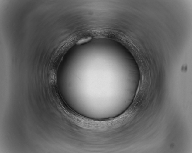 X0000100940048200807011255