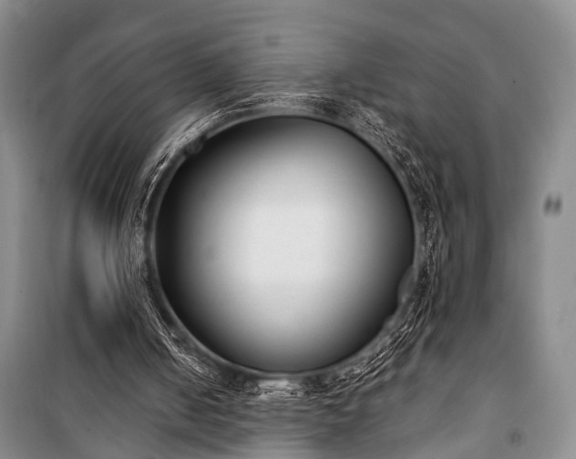 X0000100940050200807011255